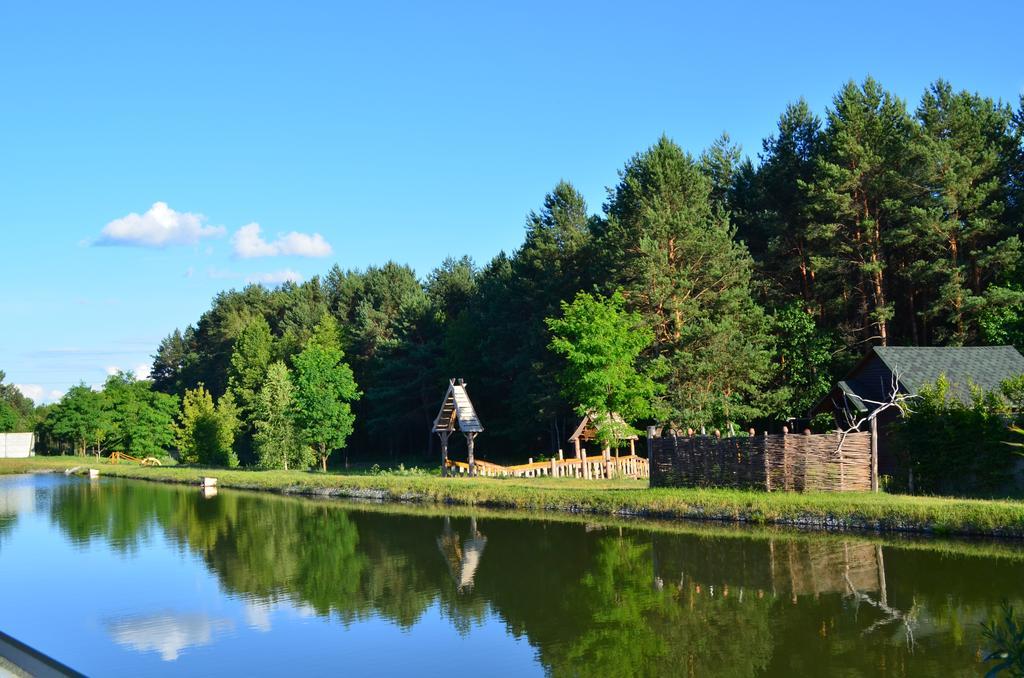 Отель Гостевая усадьба Кот Баюн и Кривая Уточка Teterivka Экстерьер фото
