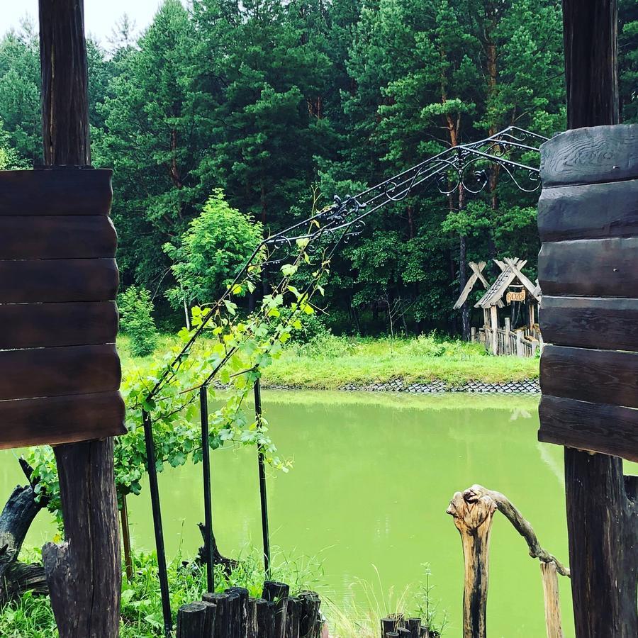 Отель Гостевая усадьба Кот Баюн и Кривая Уточка Teterivka Экстерьер фото